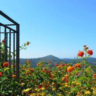 イトリ Residenza La Mannaraヴィラ エクステリア 写真